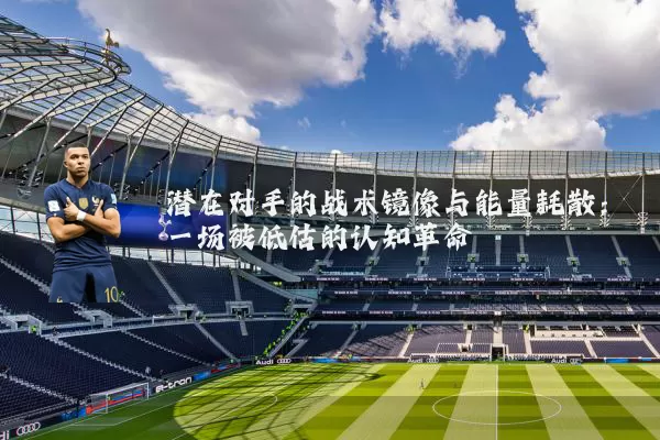 潜在对手的战术镜像与能量耗散：一场被低估的认知革命
